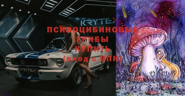 СК Белокуриха