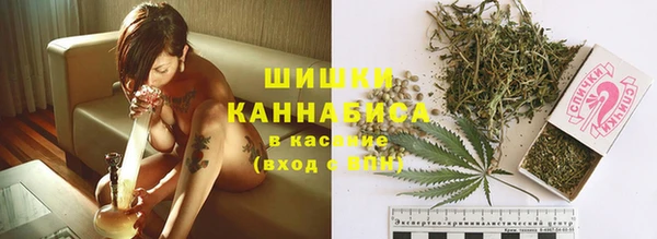 СК Белокуриха