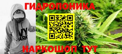 прущие грибы Волжский