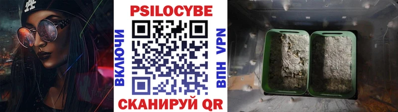 Галлюциногенные грибы Psilocybine cubensis  купить наркотик  Воскресенск 
