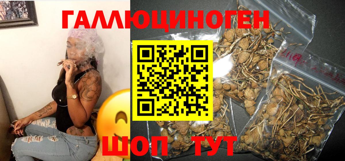 Галлюциногенные грибы ЛСД  купить закладку  Воскресенск 