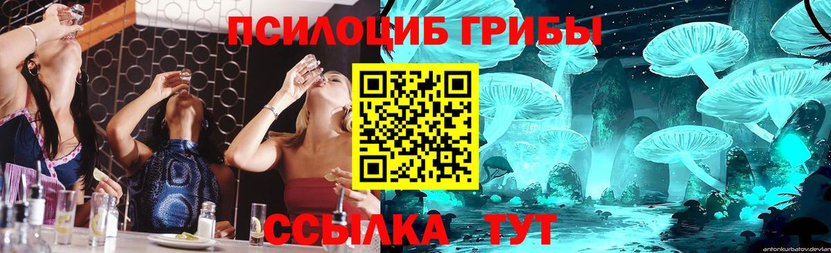 Галлюциногенные грибы мицелий Воскресенск